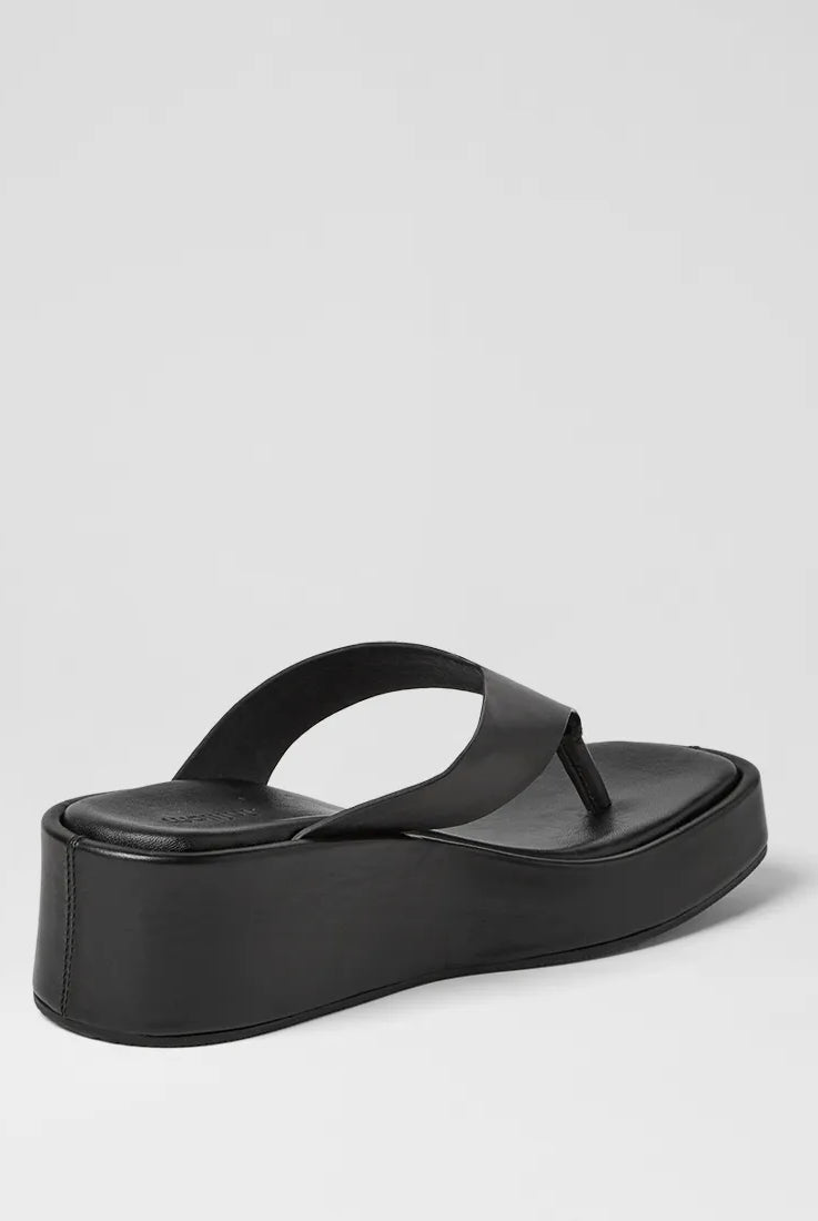 Mollini - Coastin (Black) Mollini