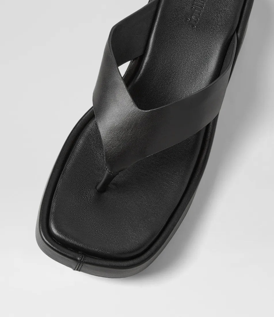 Mollini - Coastin (Black) Mollini