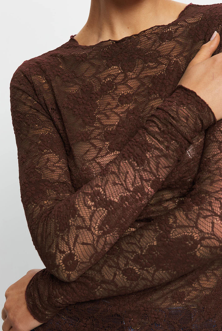 Kivari - Victoria Lace Top (Chocolate) Kivari