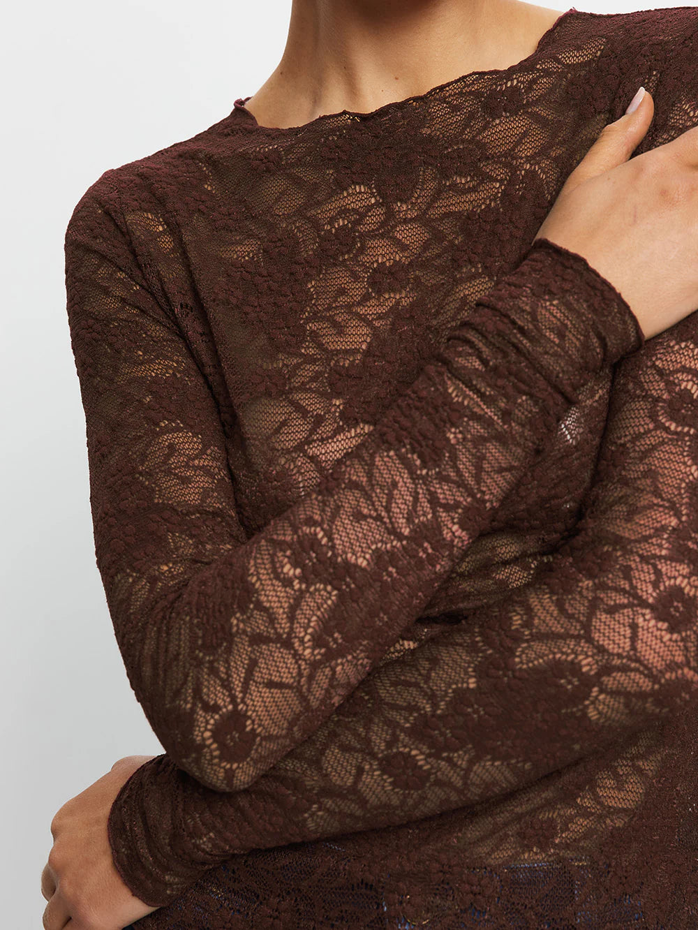 Kivari - Victoria Lace Top (Chocolate) Kivari