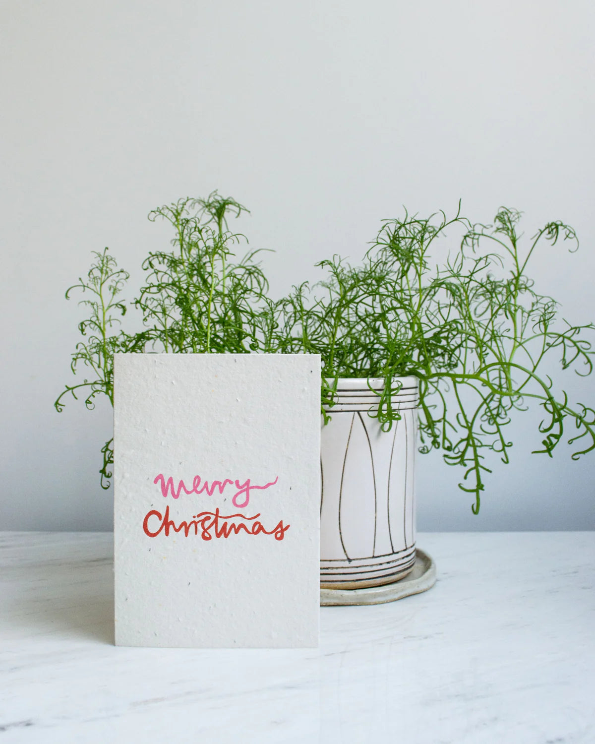 Plantable Card - Merry Christmas (Pink) Studio Y Creative