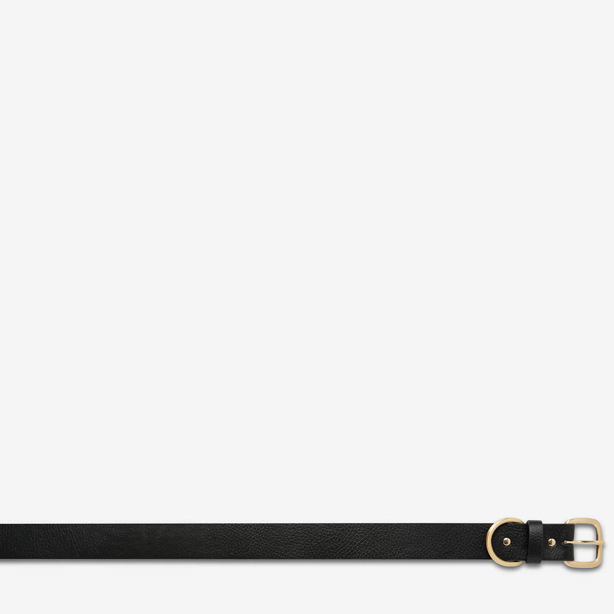 Status Anxiety Disarm Belt - Black/Gold Status Anxiety