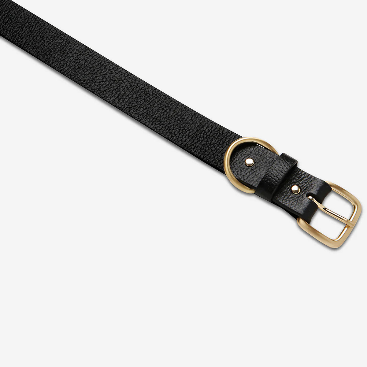 Status Anxiety Disarm Belt - Black/Gold Status Anxiety