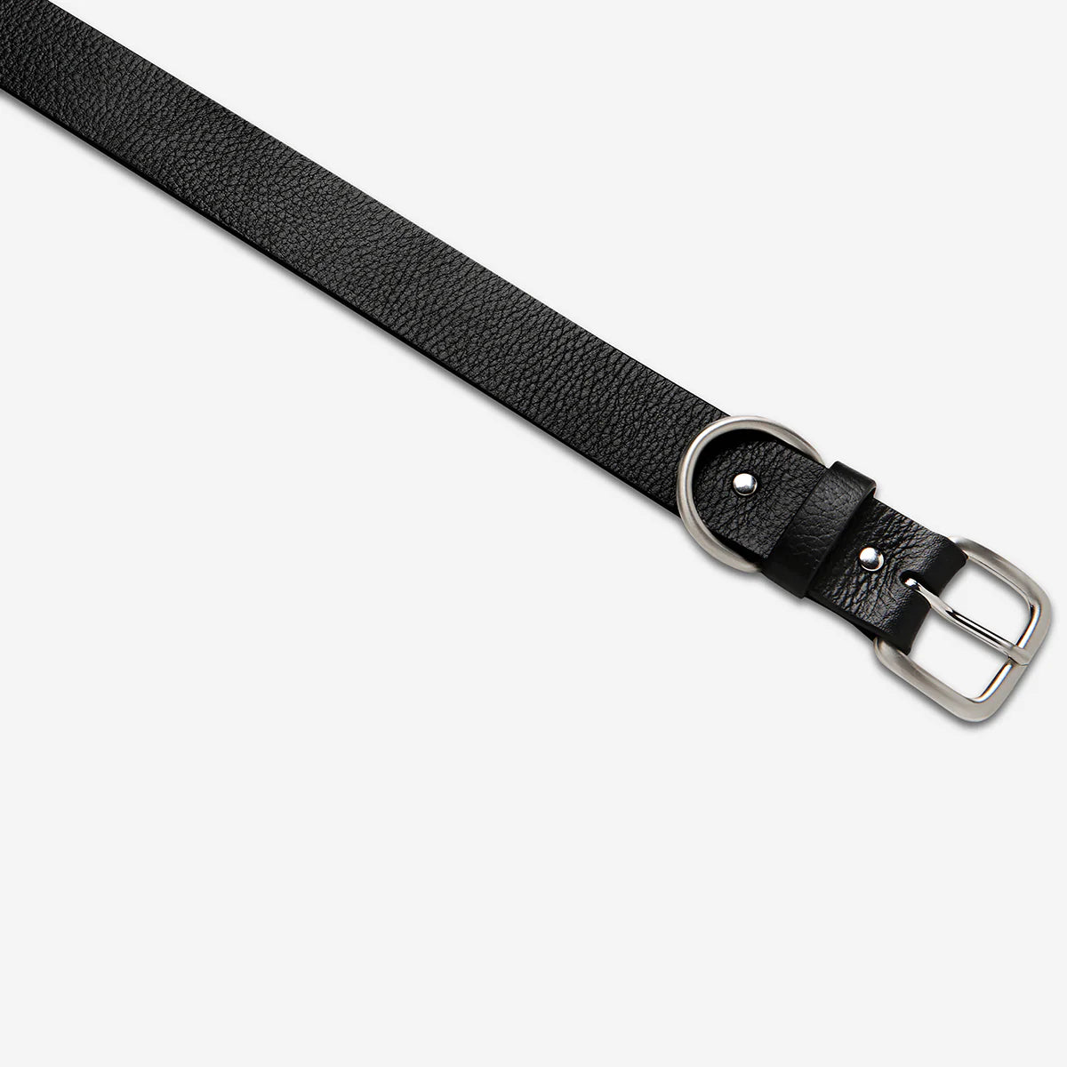 Status Anxiety Disarm Belt - Black/Silver Status Anxiety