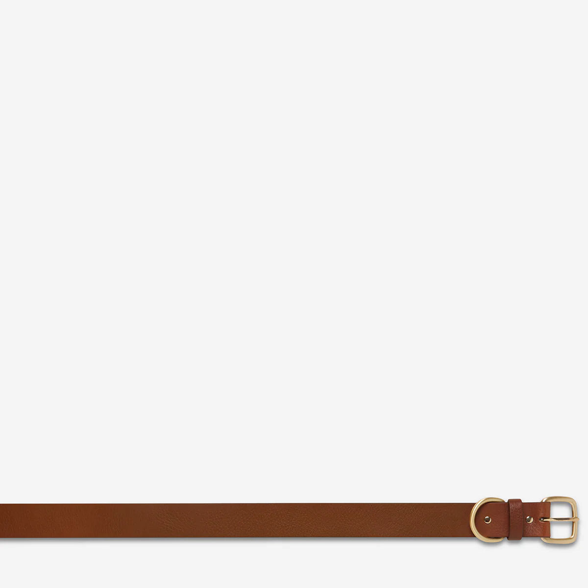 Status Anxiety Disarm Belt - Tan/Gold Status Anxiety