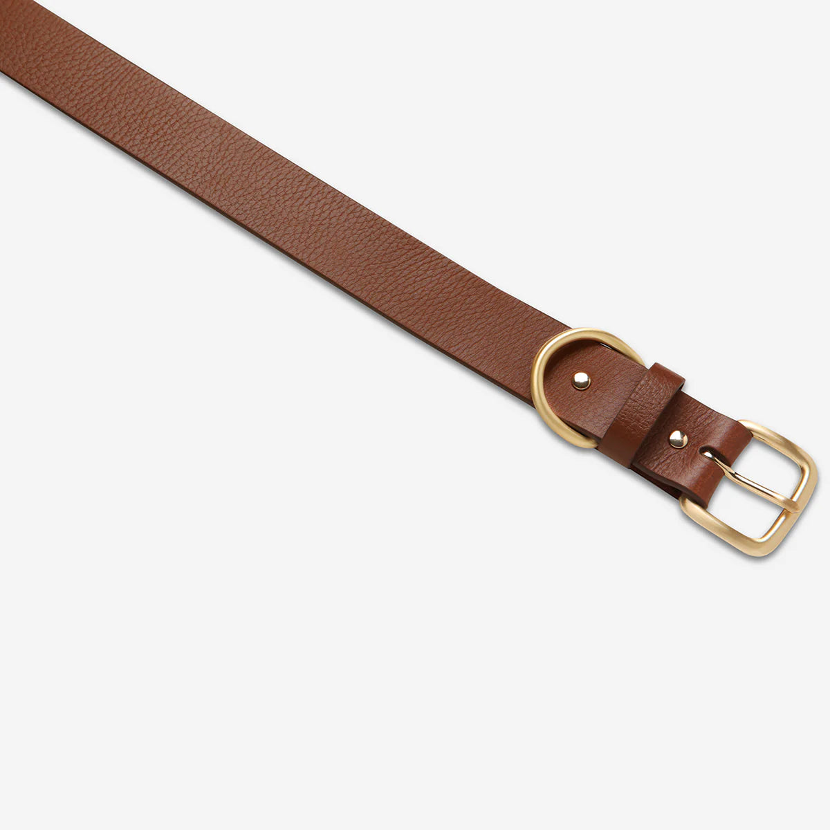 Status Anxiety Disarm Belt - Tan/Gold Status Anxiety
