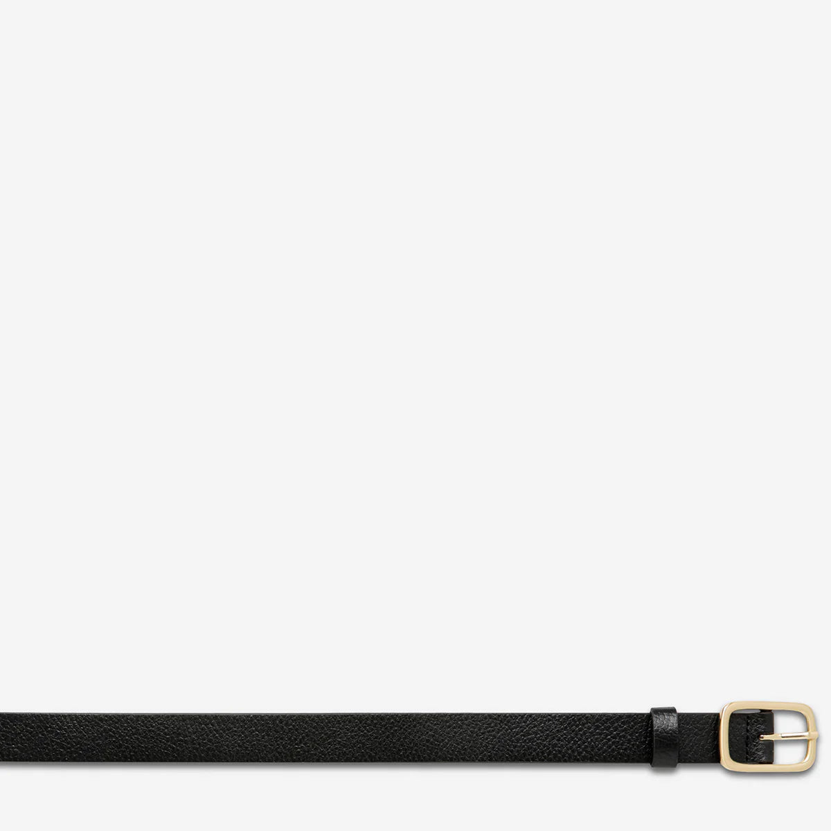 Status Anxiety - Nobody's Fault Belt (Black/Gold) Status Anxiety
