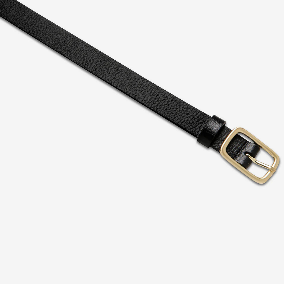 Status Anxiety - Nobody's Fault Belt (Black/Gold) Status Anxiety