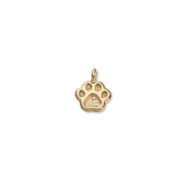 Paw Charm (Gold) By Barny