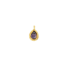 Birthstone Charms (Gold) Dear Blackbird Boutique