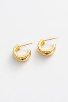 Zafino - Zoe Hoop (Gold) Zafino