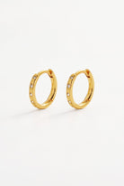 Zafino - Talia Huggie (Gold) Zafino