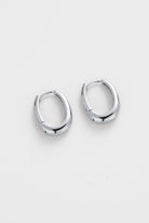 Zafino - Pia Hoop Large (Silver) Zafino