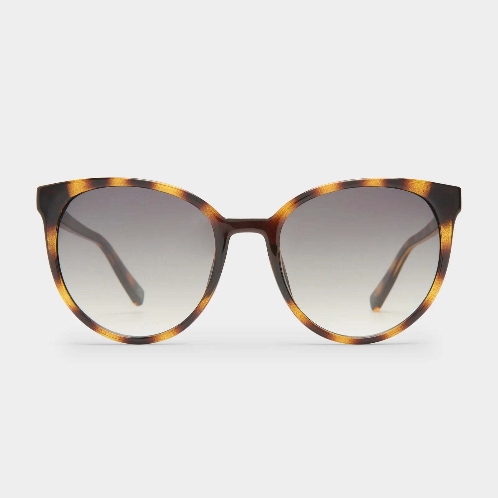 Le Specs - Armada (Tort) Le Specs