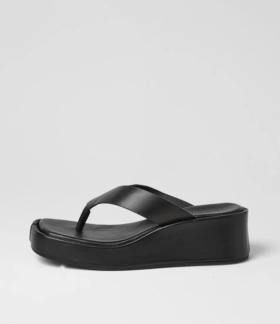 Mollini - Coastin (Black) Mollini