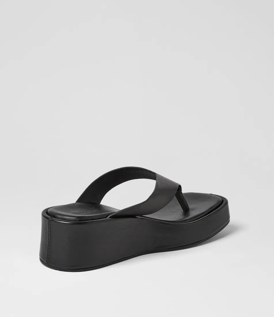 Mollini - Coastin (Black) Mollini