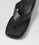 Mollini - Coastin (Black) Mollini
