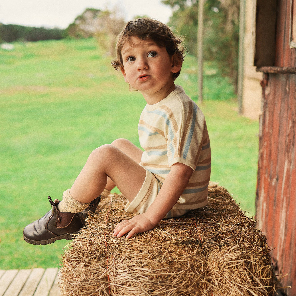 KYND Baby - Knit Short (Stripe) KYND Baby