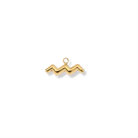 Zodiac Charms (Gold) Dear Blackbird Boutique