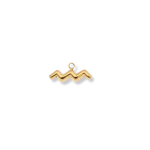 Zodiac Charms (Gold) Dear Blackbird Boutique