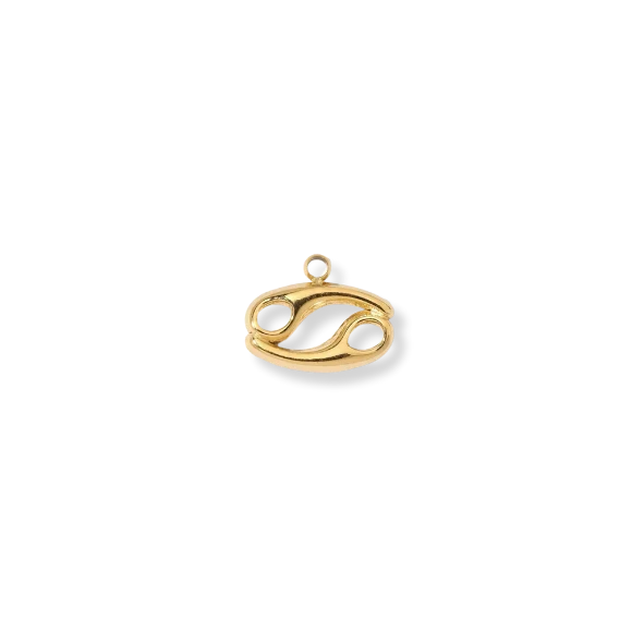 Zodiac Charms (Gold) Dear Blackbird Boutique
