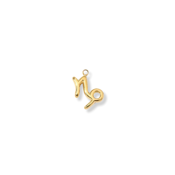 Zodiac Charms (Gold) Dear Blackbird Boutique