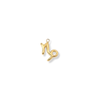 Zodiac Charms (Gold) Dear Blackbird Boutique