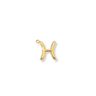 Zodiac Charms (Gold) Dear Blackbird Boutique