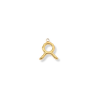 Zodiac Charms (Gold) Dear Blackbird Boutique