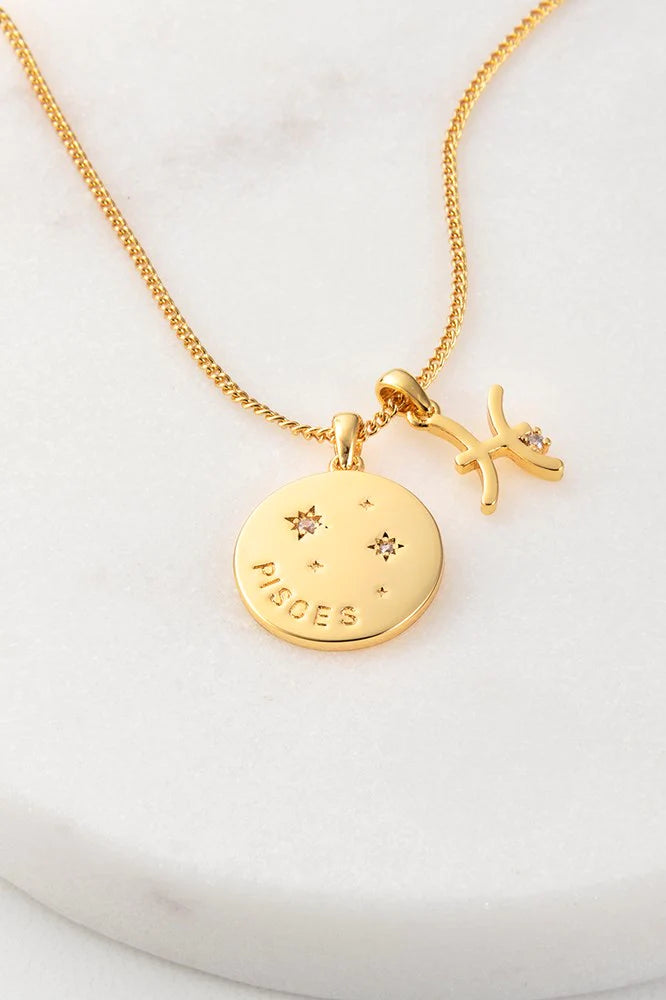 Pisces best sale zodiac necklace