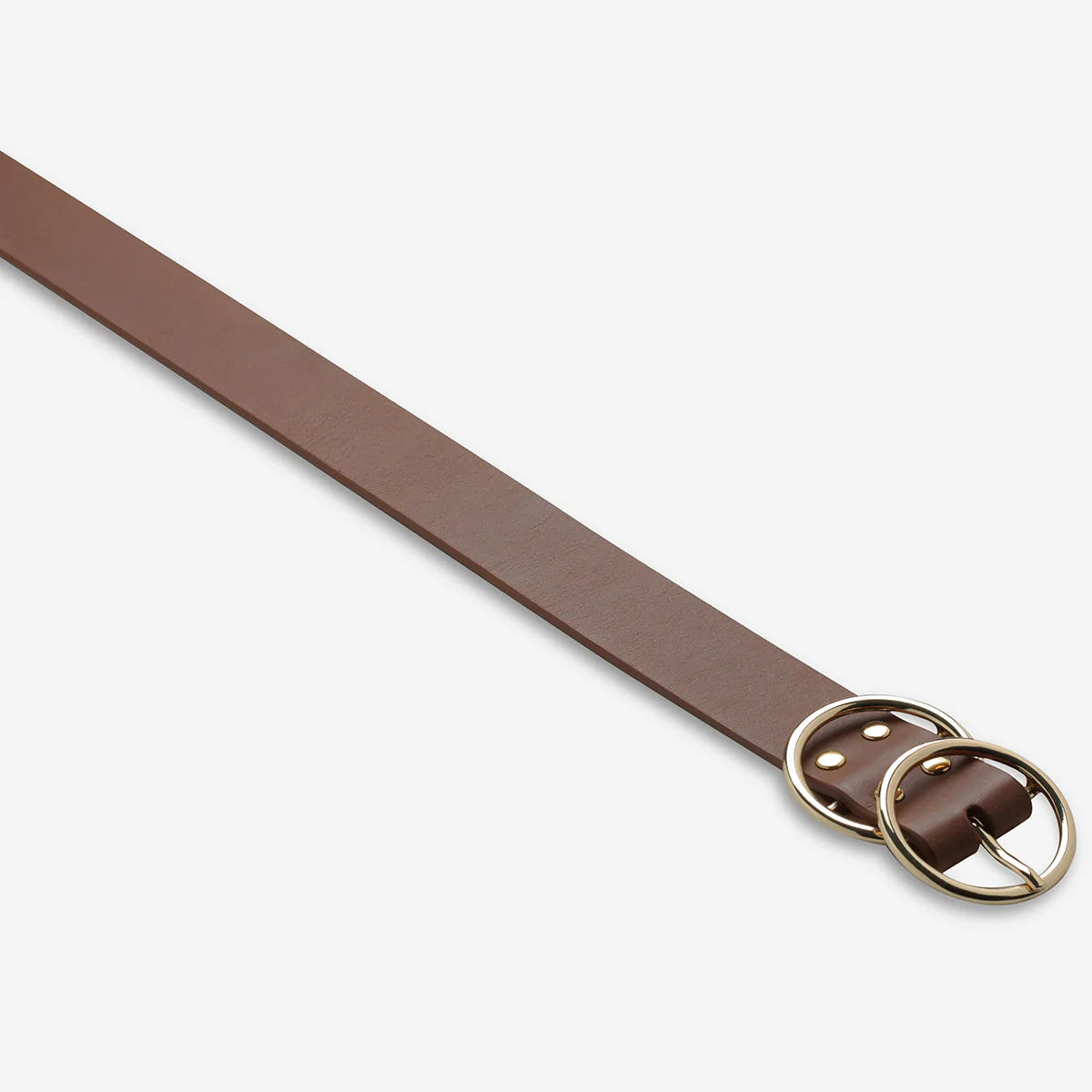 Status Anxiety Mislaid Belt - Tan/Gold Status Anxiety